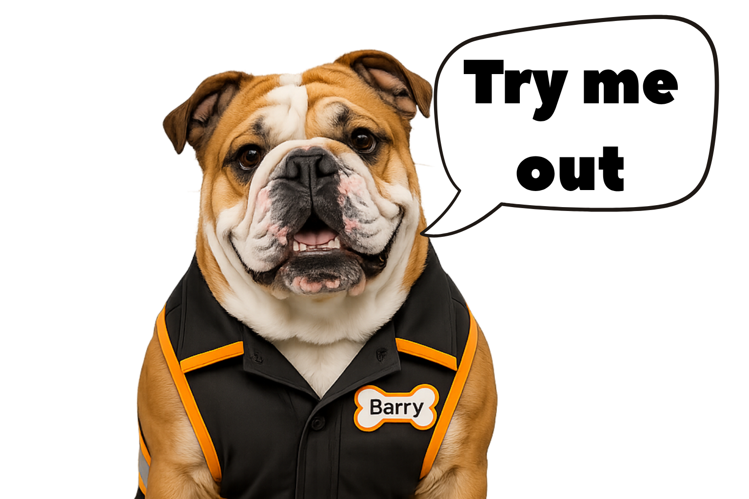 Barry the bulldog saying Try me out